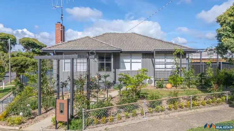 Second view of Homely house listing, 13 Macaulay Grove, Myrtleford VIC 3737