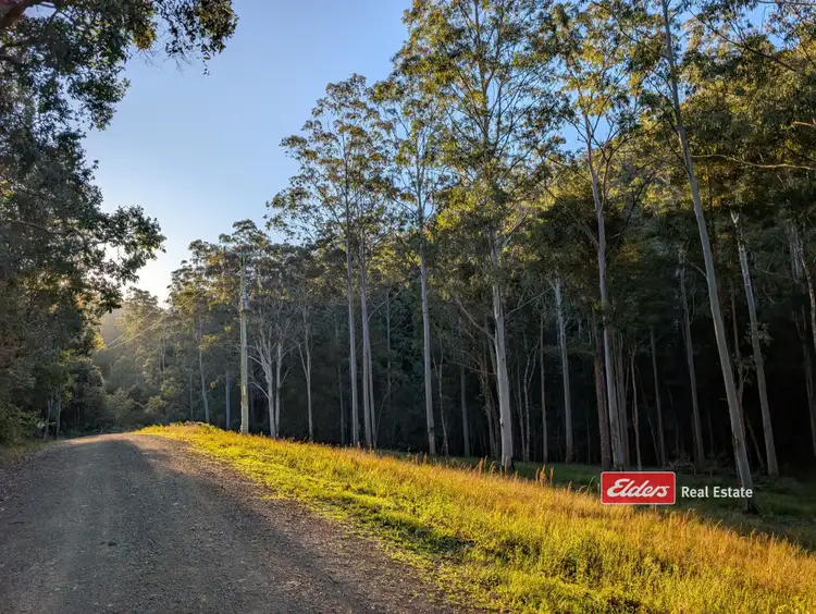 Sixth view of Homely rural property listing, 661 Craven Creek Road, Rookhurst via, Gloucester NSW 2422