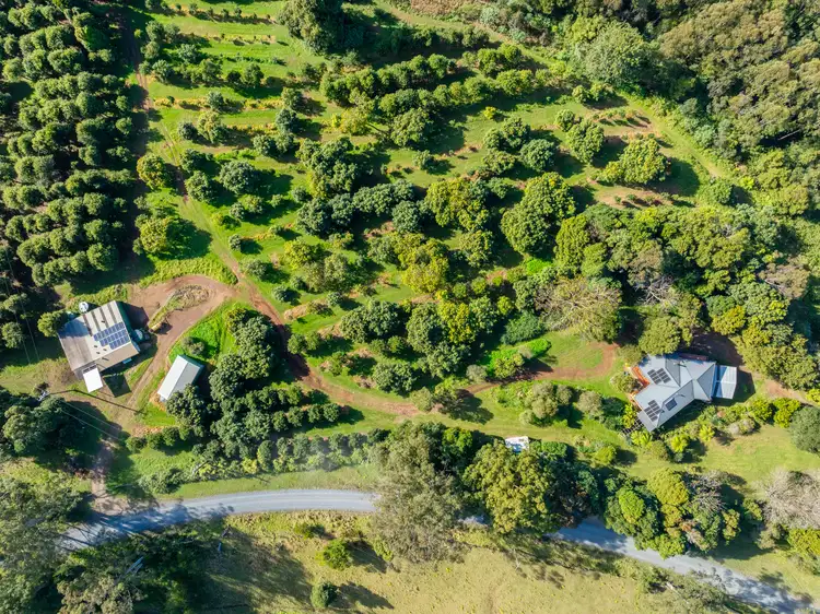 Third view of Homely rural property listing, 480 Ponsfords Road, Comboyne NSW 2429