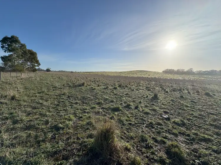 Third view of Homely rural property listing, Lot 403 Riddoch Highway, Wild Dog Valley SA 5271