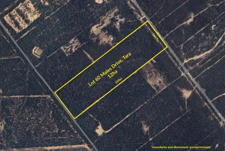 Lot 60 Males Drive, Tara QLD 4421