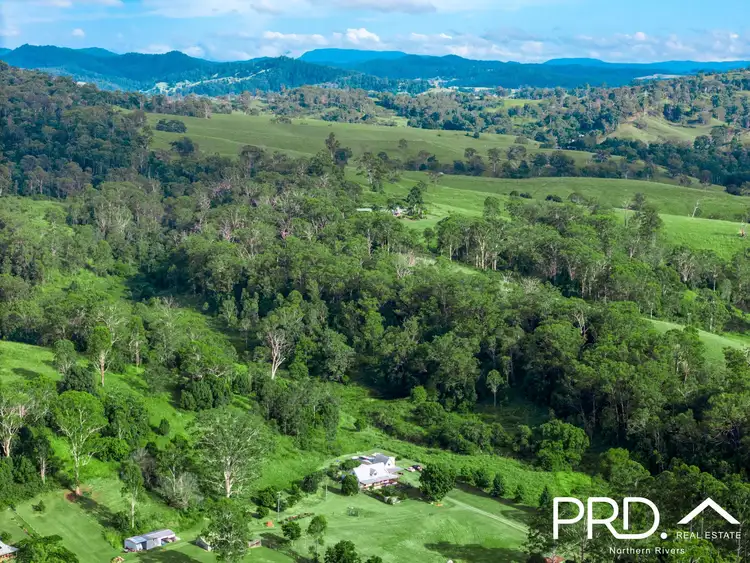 Fourth view of Homely rural property listing, 165 Afterlee Road, Horse Station Creek NSW 2474