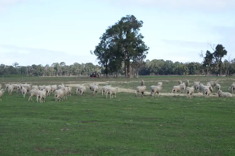 Third view of Homely rural property listing, 944 Boallia Road, Boallia WA 6280