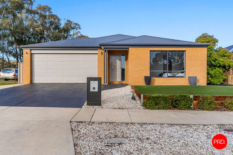 9 Gelbray Street, Ascot VIC 3551