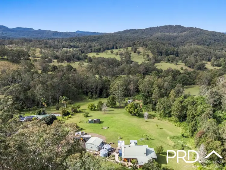 334 Green Pigeon Road, Green Pigeon NSW 2474