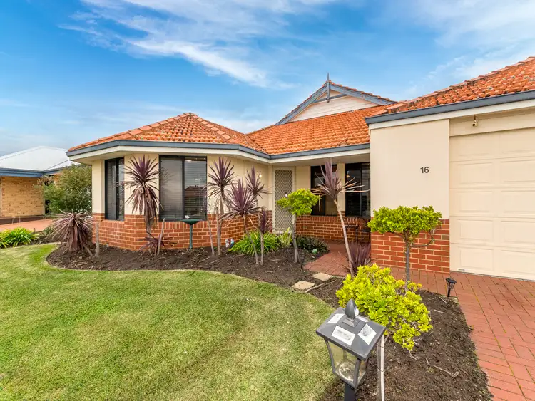 Main view of Homely house listing, 16 Sheriff Circuit, Wattle Grove WA 6107