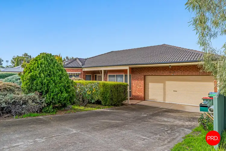 Main view of Homely house listing, 41 Beischer Street, East Bendigo VIC 3550