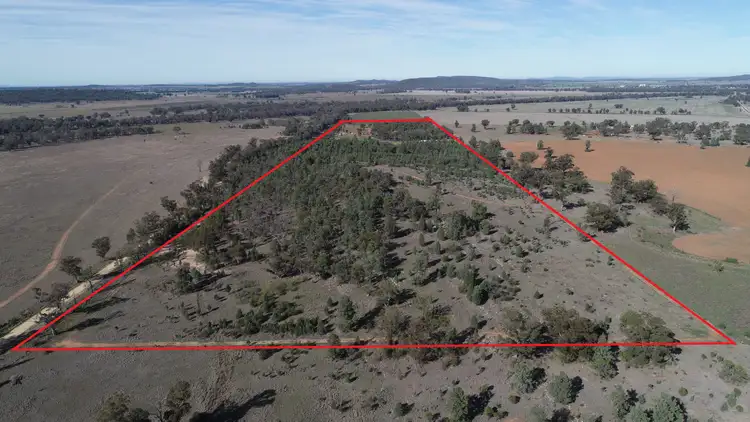 79 Mercadool Lane, Bogan Gate NSW 2876