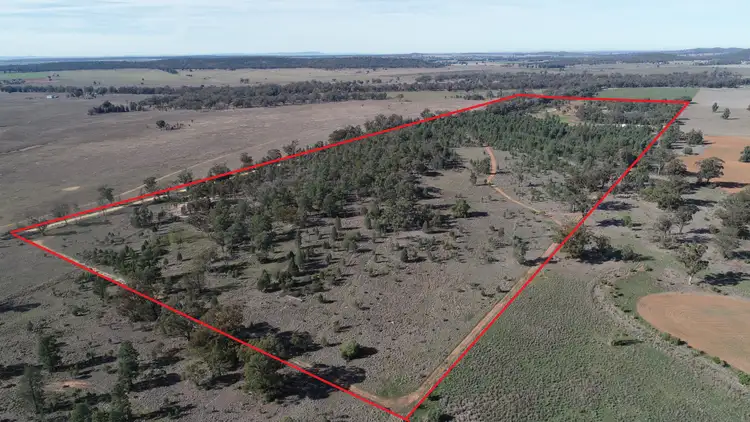 Second view of Homely rural property listing, 79 Mercadool Lane, Bogan Gate NSW 2876