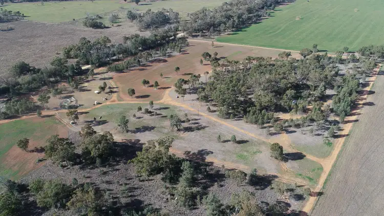 Seventh view of Homely rural property listing, 79 Mercadool Lane, Bogan Gate NSW 2876