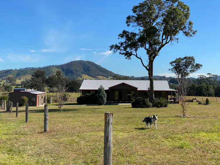 Main view of Homely rural property listing, 233 Youngs Road, Wingham NSW 2429