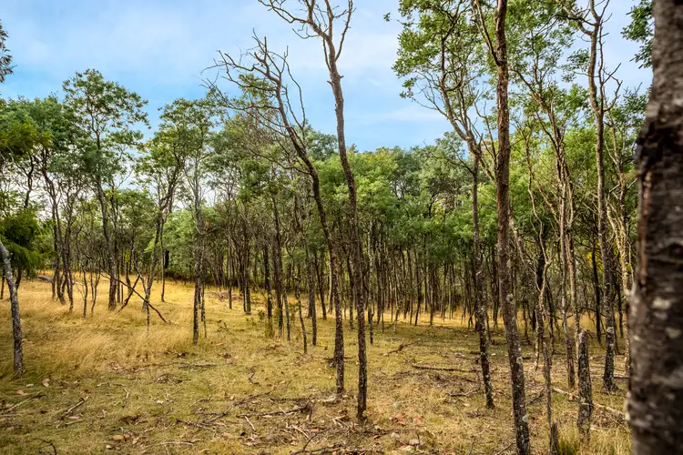 Second view of Homely rural property listing, Lot 1 Yarlington Road, Colebrook TAS 7027