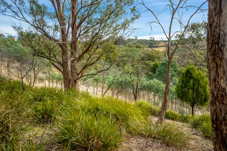 Fourth view of Homely rural property listing, Lot 1 Yarlington Road, Colebrook TAS 7027