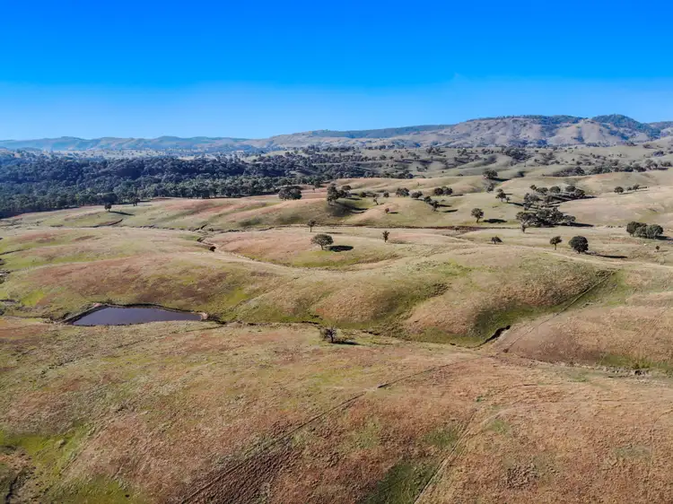 Third view of Homely rural property listing, 1072 Wee Jasper Road, Tumut NSW 2720