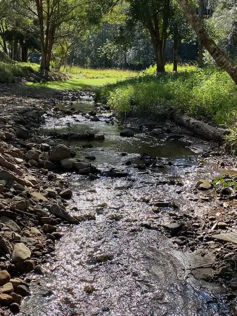 Fourth view of Homely rural property listing, 200 Chauviers Road, Upper Crystal Creek NSW 2484