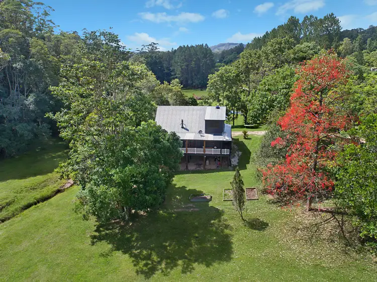 Sixth view of Homely rural property listing, 200 Chauviers Road, Upper Crystal Creek NSW 2484