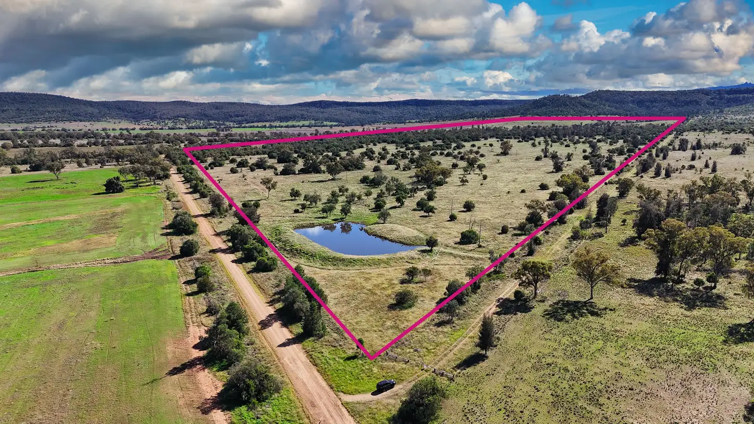 Main view of Homely rural property listing, 1373 Wave Hill Road, Tarriaro NSW 2390