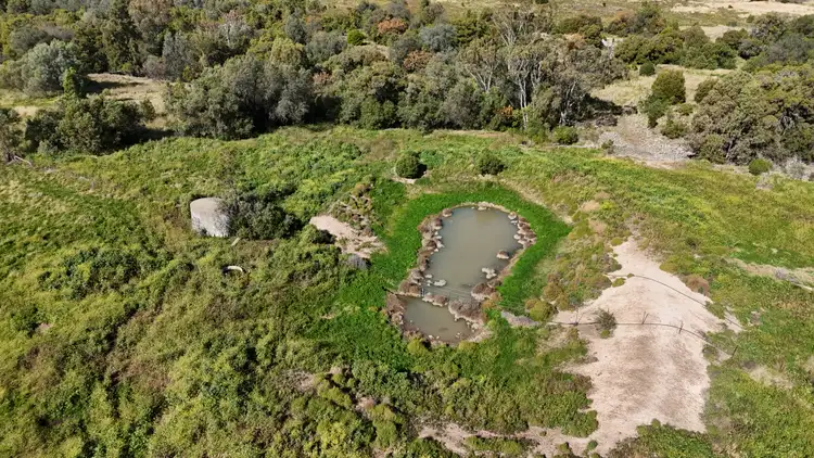 Fifth view of Homely rural property listing, 1373 Wave Hill Road, Tarriaro NSW 2390