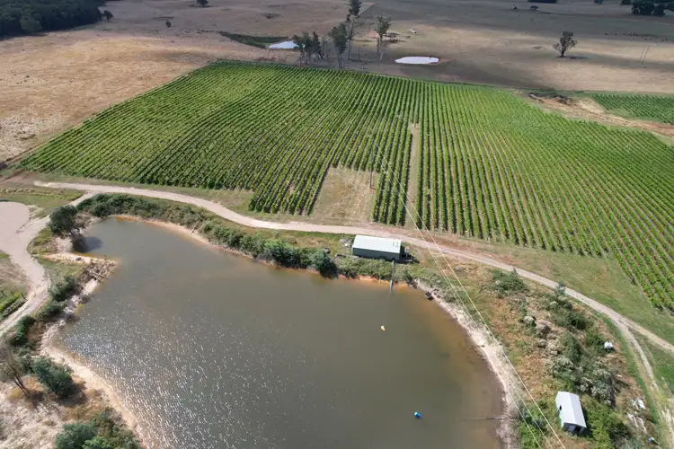Sixth view of Homely rural property listing, 153 Courabyra Road, Tumbarumba NSW 2653