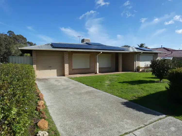 Main view of Homely house listing, 142 Blackadder Road, Swan View WA 6056