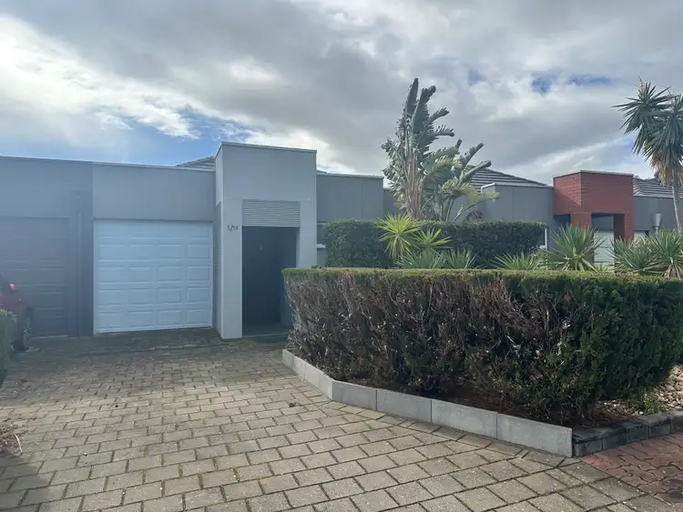 Main view of Homely house listing, 3/19 Troon Drive, Normanville SA 5204