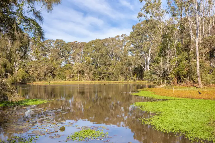 97 Glenthorne Road, Glenthorne NSW 2430