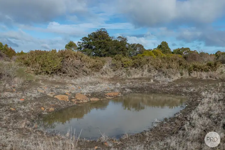 Second view of Homely land listing, 195 Four Star Road, Creswick VIC 3363