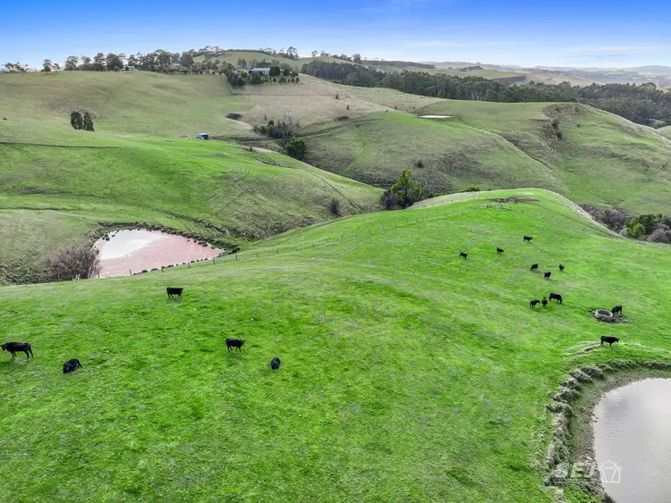 Second view of Homely rural property listing, 710 Korumburra - Warragul Road, Ranceby VIC 3951