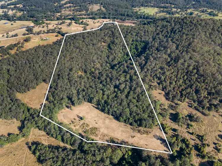 Third view of Homely rural property listing, 694 Pipeclay Road, Pipeclay NSW 2446