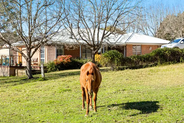 Fifth view of Homely house listing, 233 Wamban Road, Moruya NSW 2537