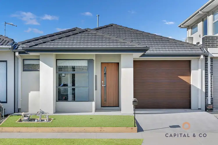 6 Ovata Grove
