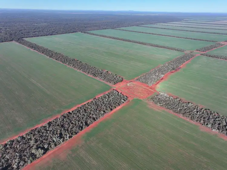 'Harolds', 2005 Palesthan Road, Euabalong NSW 2877