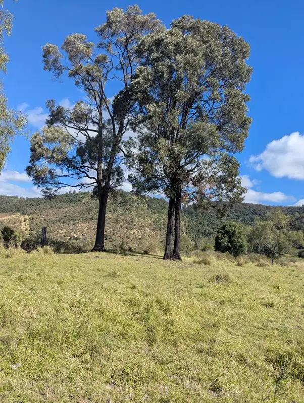 Fourth view of Homely rural property listing, Lot 1 East Egypt Road, Egypt QLD 4344