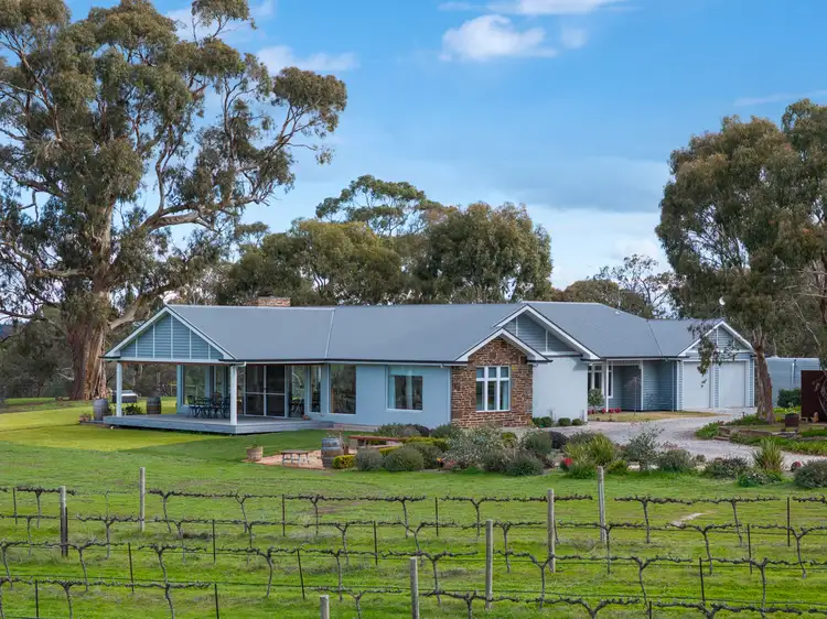 203 Moccundunda North Road, Clare SA 5453