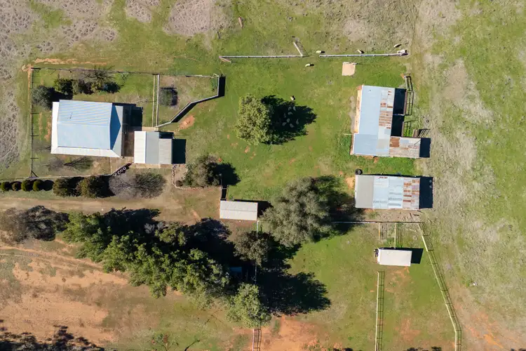 Seventh view of Homely house listing, 3177 Canola Way, Coolamon NSW 2701