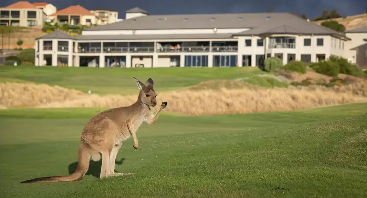 Seventh view of Homely land listing, 13 and 13a Turnberry Drive, Normanville SA 5204