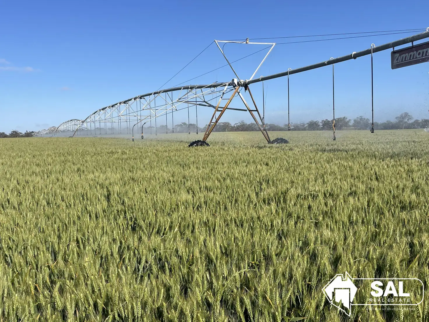 Main view of Homely rural property listing, 200 Pooginagoric Road, Bordertown SA 5268