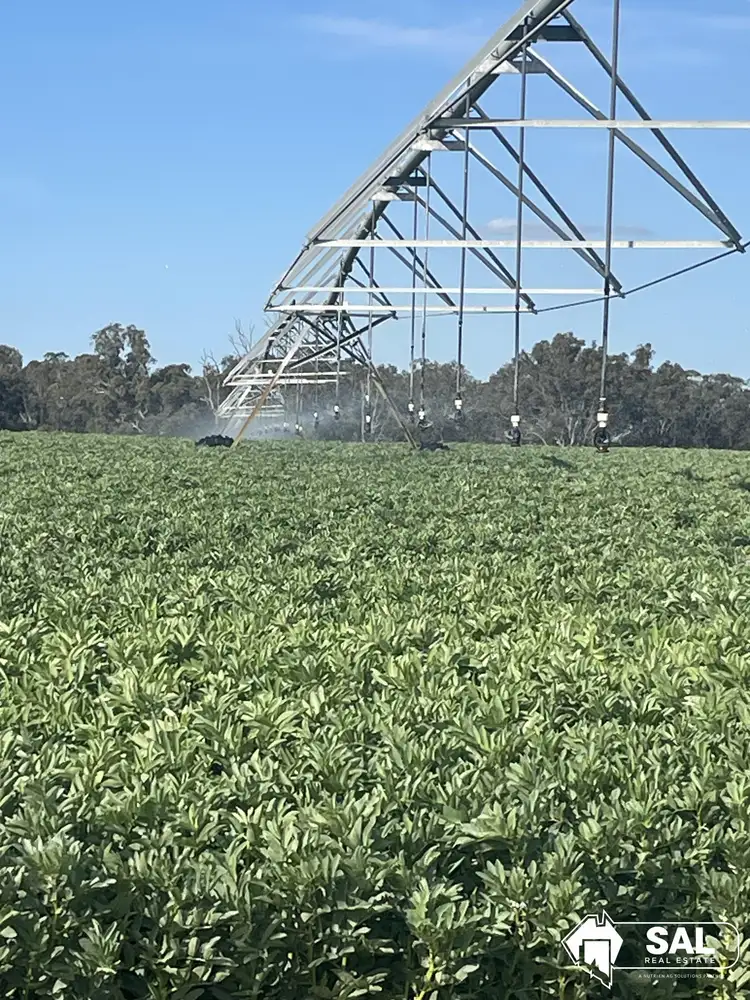 Fourth view of Homely rural property listing, 200 Pooginagoric Road, Bordertown SA 5268