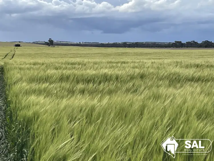 Second view of Homely rural property listing, 917 Burt Road, Bordertown SA 5268