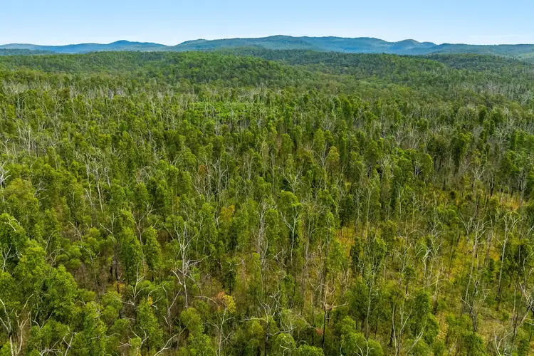 Fourth view of Homely rural property listing, 2577 Old Tenterfield Road, Wyan NSW 2469