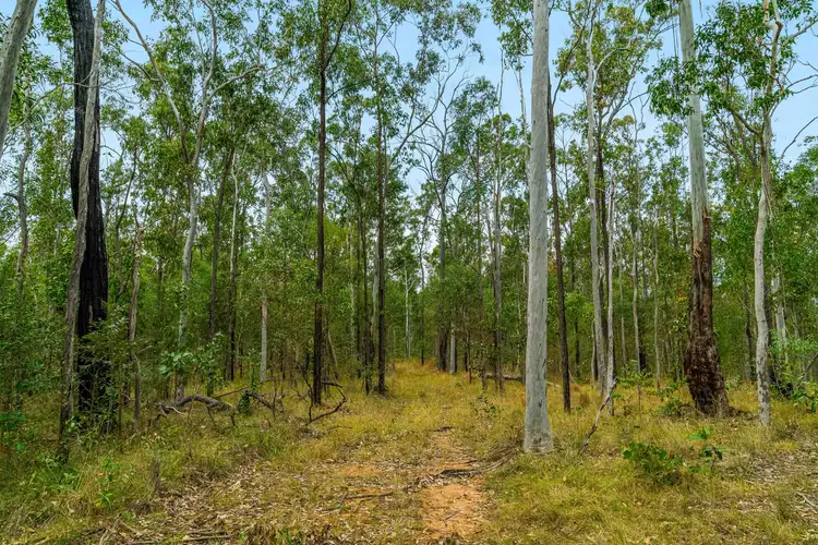 Fifth view of Homely rural property listing, 2577 Old Tenterfield Road, Wyan NSW 2469