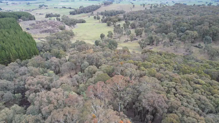 Sixth view of Homely rural property listing, Lots 1, 4, 7 Glenroy Hills Road, Tumbarumba NSW 2653
