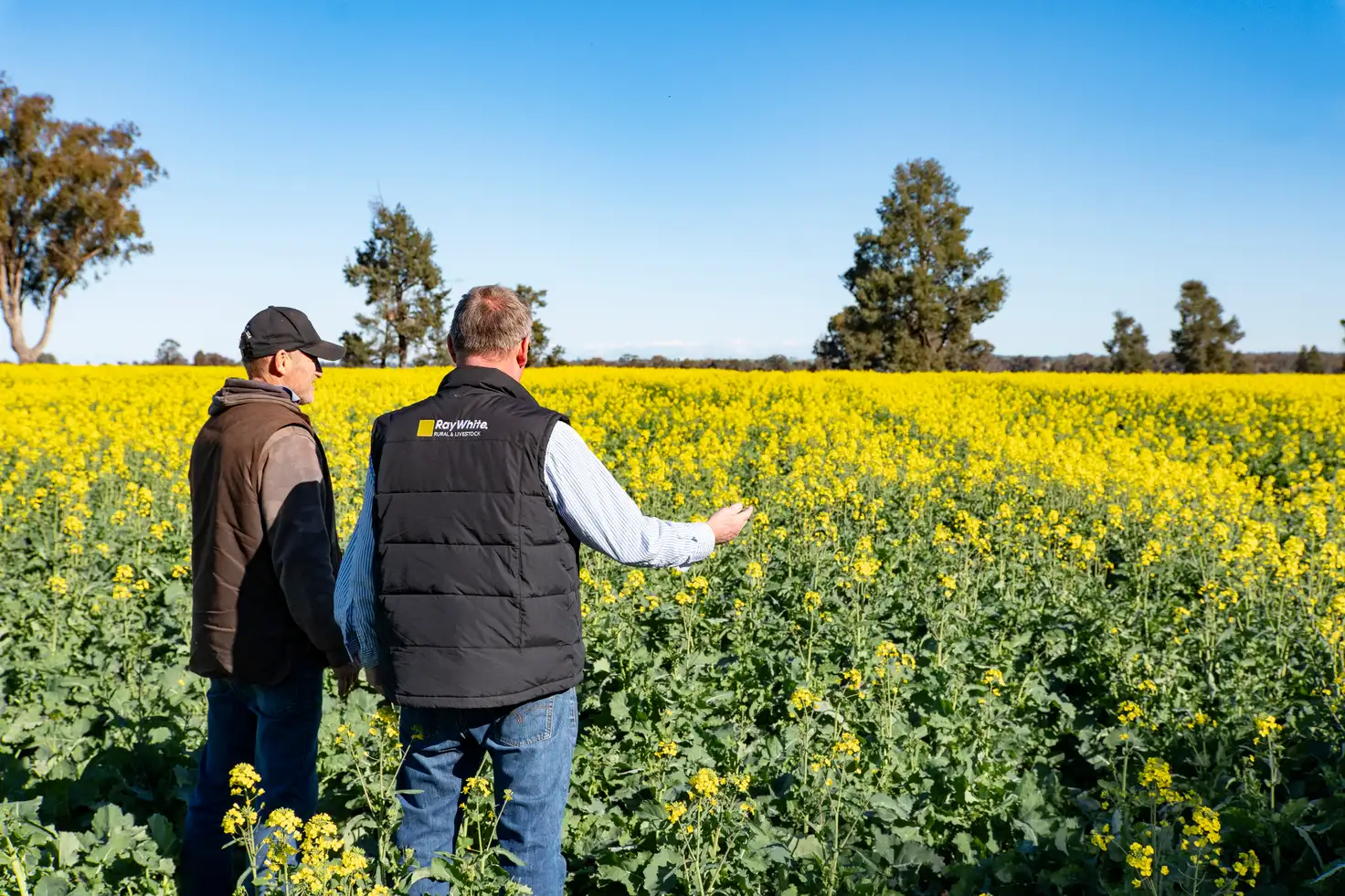 Main view of Homely rural property listing, 2244 Berrigan Road, Berrigan NSW 2712