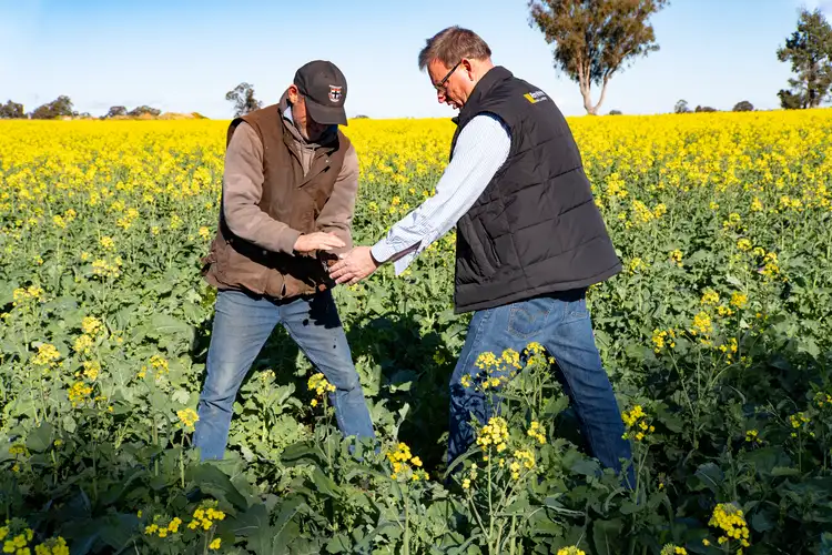 Second view of Homely rural property listing, 2244 Berrigan Road, Berrigan NSW 2712