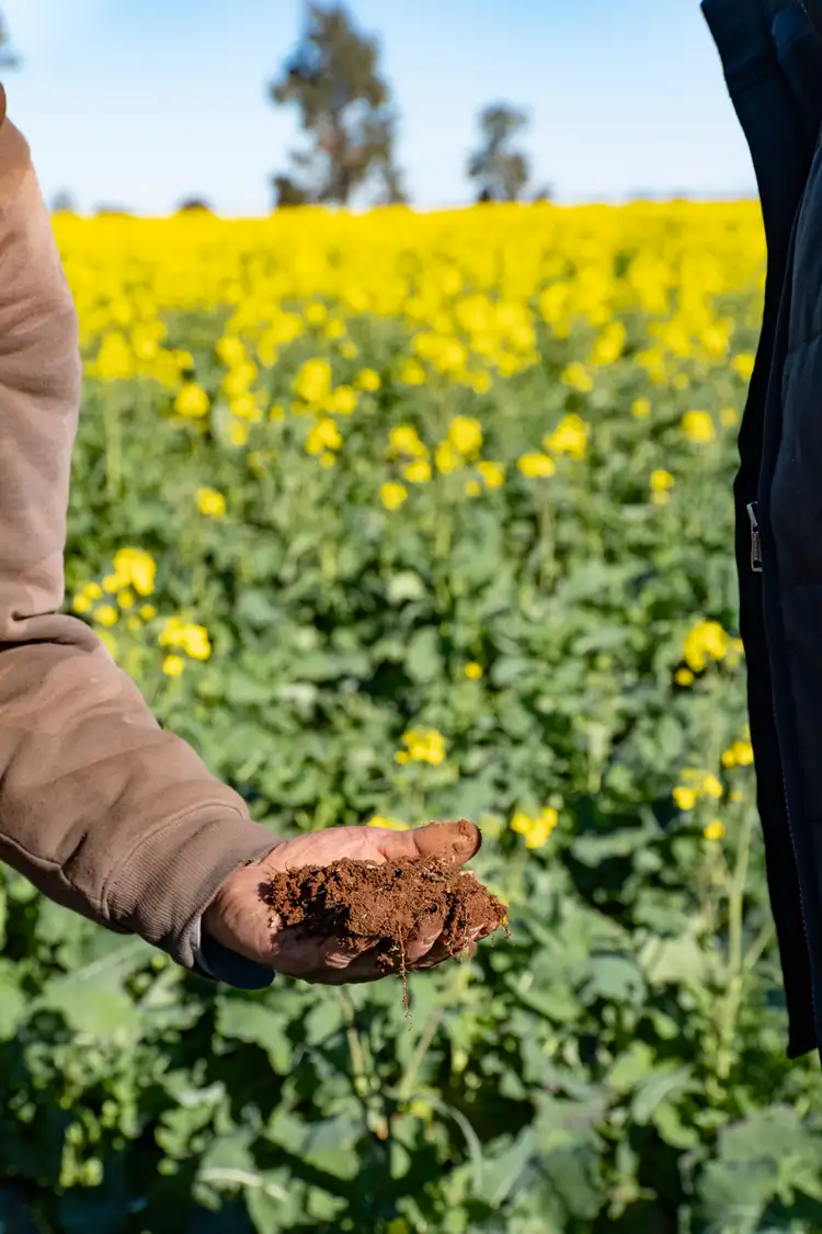 Third view of Homely rural property listing, 2244 Berrigan Road, Berrigan NSW 2712