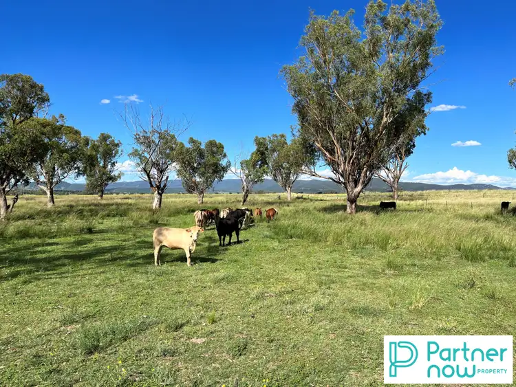 Fifth view of Homely rural property listing, 205 Gidley-Appleby Road, Tamworth NSW 2340