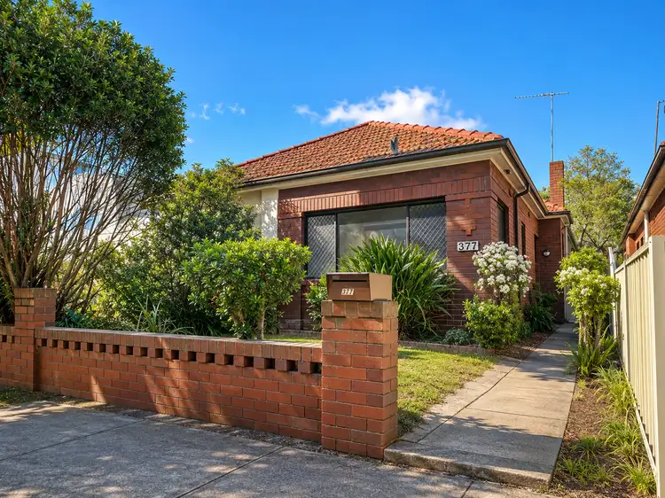 377 Avoca Street