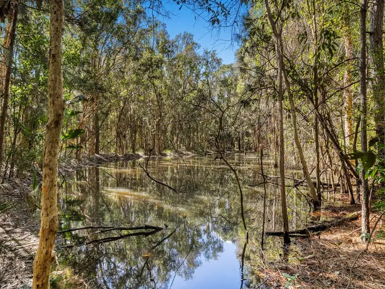 341 Boundary Road, Narangba QLD 4504