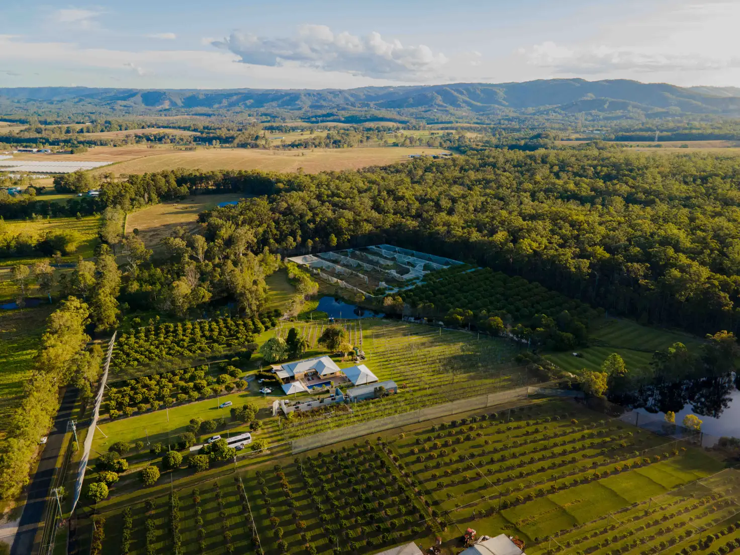 Main view of Homely rural property listing, 47-73 Mcclintock Road, Wamuran QLD 4512