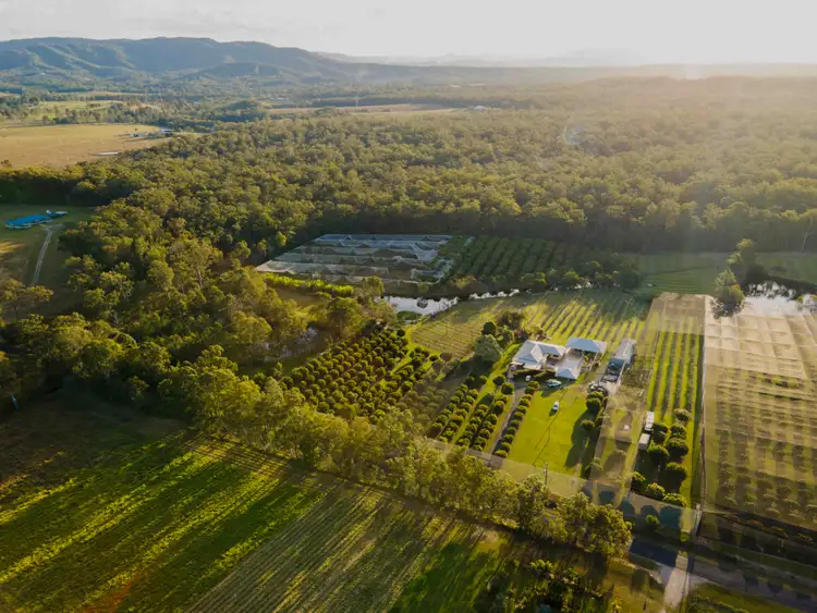 Fourth view of Homely rural property listing, 47-73 Mcclintock Road, Wamuran QLD 4512